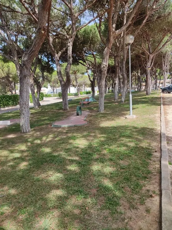 Albufeira Acoteias Studio By Homing Apartment Olhos de Agua   Olhos de Agua (Albufeira)